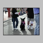 Dscn4897.jpg